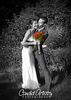 CandidArtistry > Candid Artistry's Weddings photo
