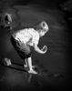 CandidArtistry > Black & White Images photo
